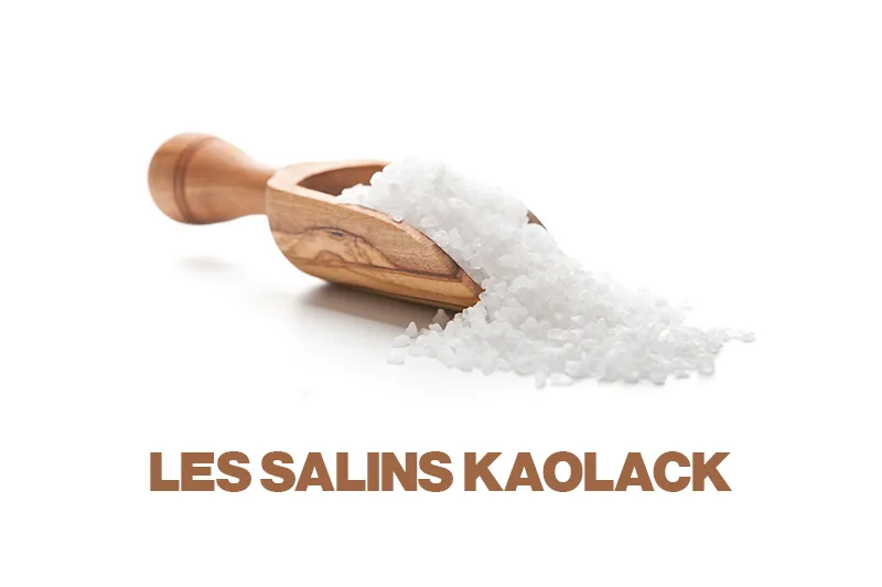 NETLOGIK reference: Les Salins Kaolack